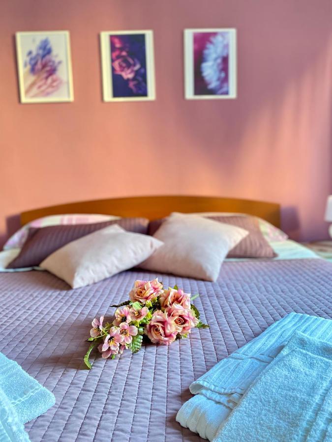 Dreams In Rome - Colosseum Apartment Εξωτερικό φωτογραφία